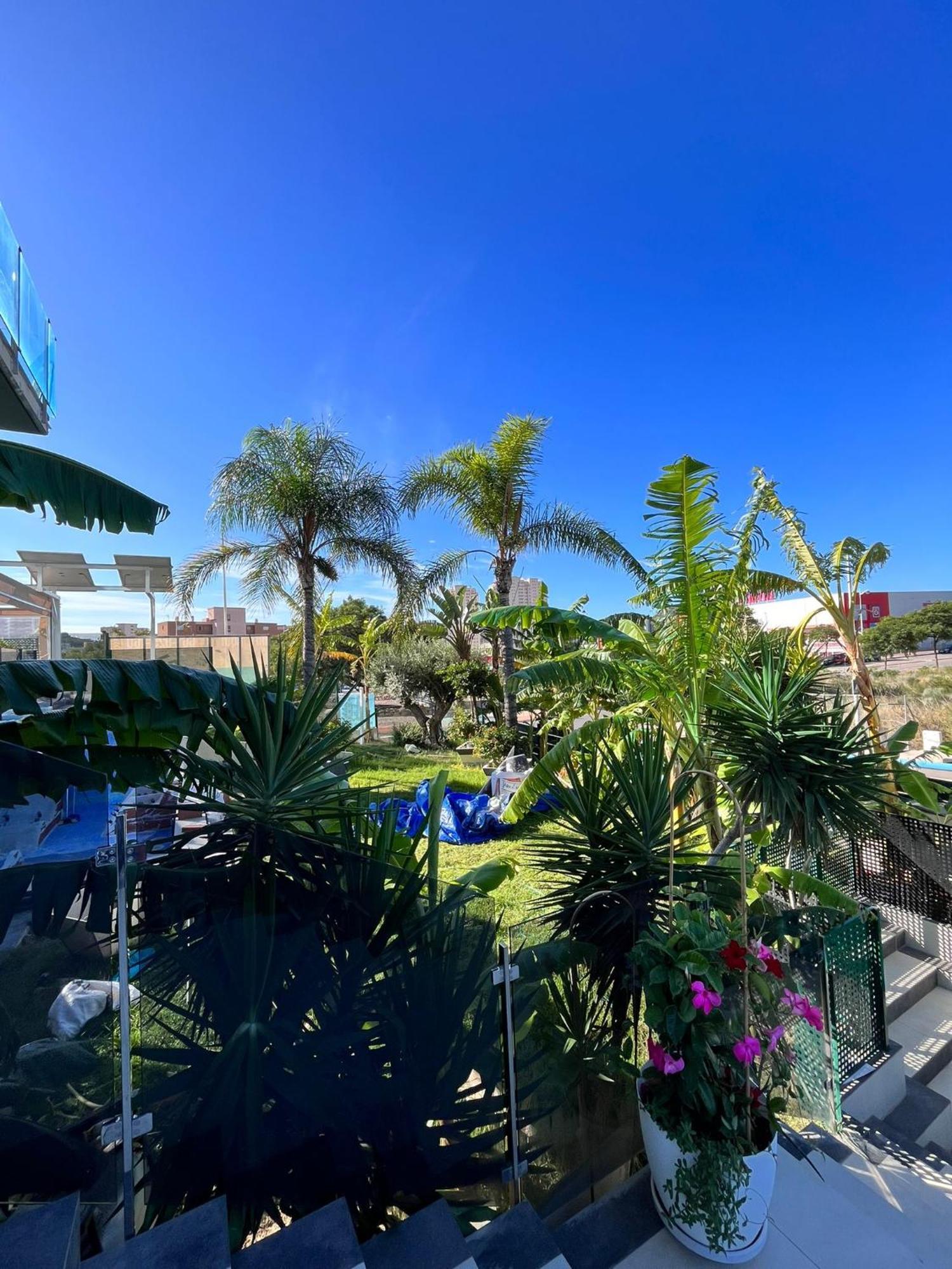 Apartment Oasis De La Cala